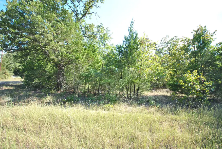Lot 76 Lot 76 Lcr 894 Drive, Jewett, TX 75846 - Image #2