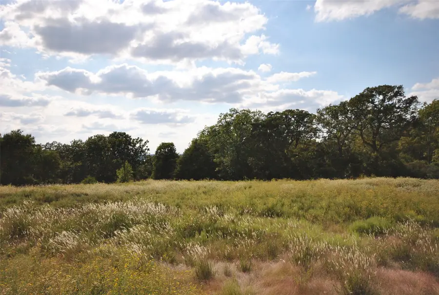 00 Lot 22 Lcr 910 Drive, Jewett, TX 75846 - Image #3