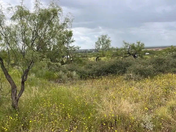 TBD2 County Road 405, Merkel, TX 79536