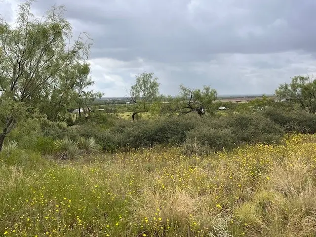 TBD2 County Road 405, Merkel, TX 79536 - Image #2