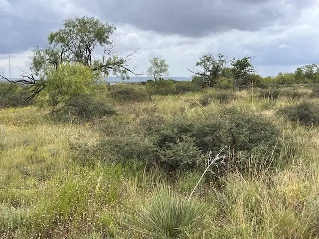TBD2 County Road 405, Merkel, TX 79536 - Image #3