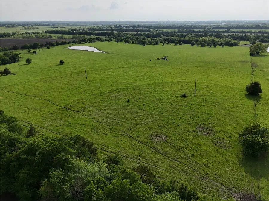 TBD Cr 4841 Tract 2, Leonard, TX 75452 - Image #2