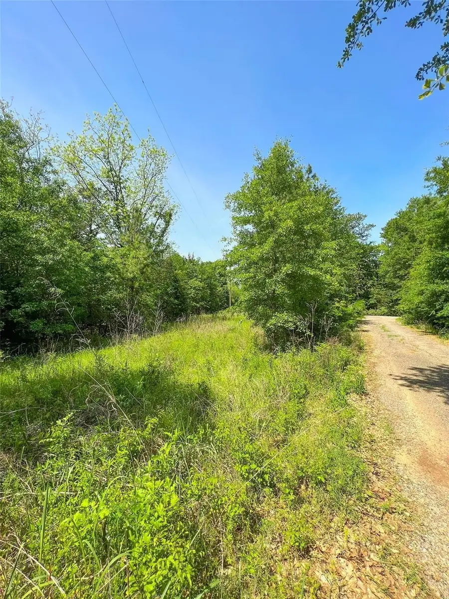 TBD Fm-195 / Cr 2456, Clarksville, TX 75426 - Image #2