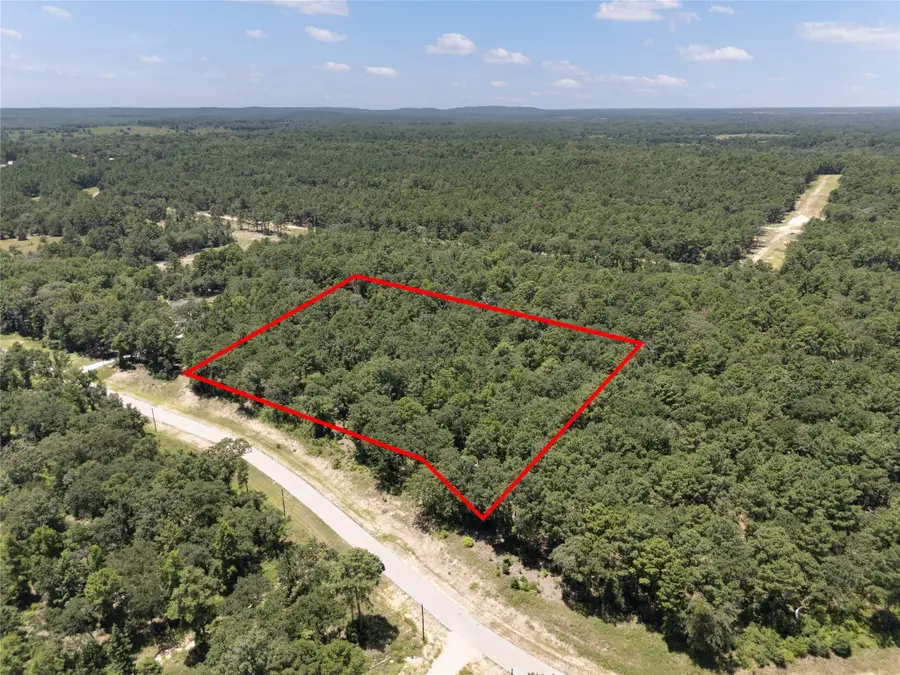 3289 Shadow Pine Drive, Larue, TX 75770 - Image #3