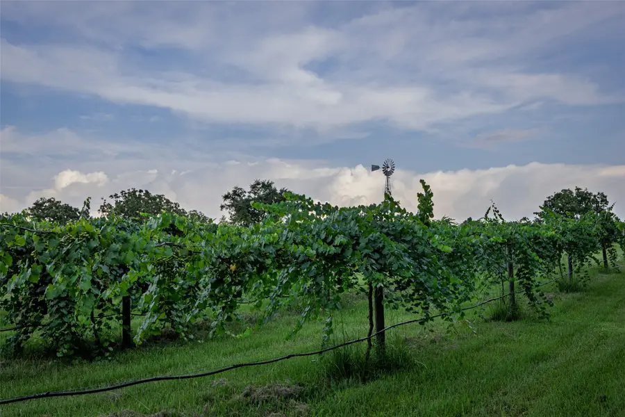 00 County Road 2138, Troup, TX 75789 - Image #3