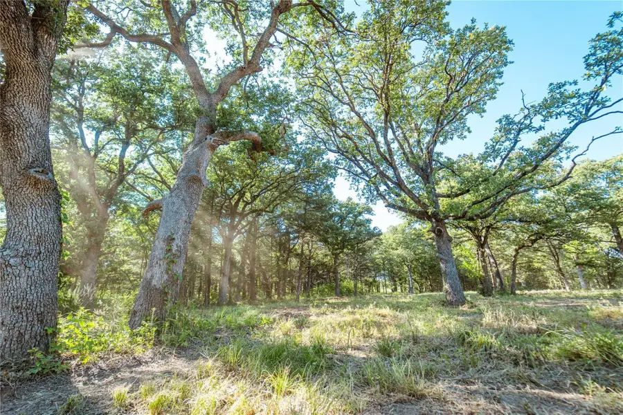 Lot 6 County Road 297, Gainesville, TX 76240 - Image #2