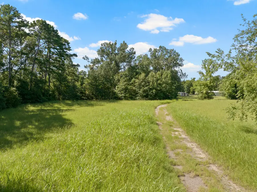 2039 County Road 2850, Pittsburg, TX 75686 - Image #3