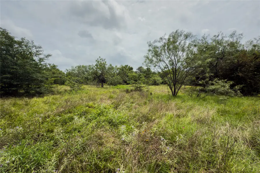 Lot 11 County Road 173, Marlin, TX 76661 - Image #3