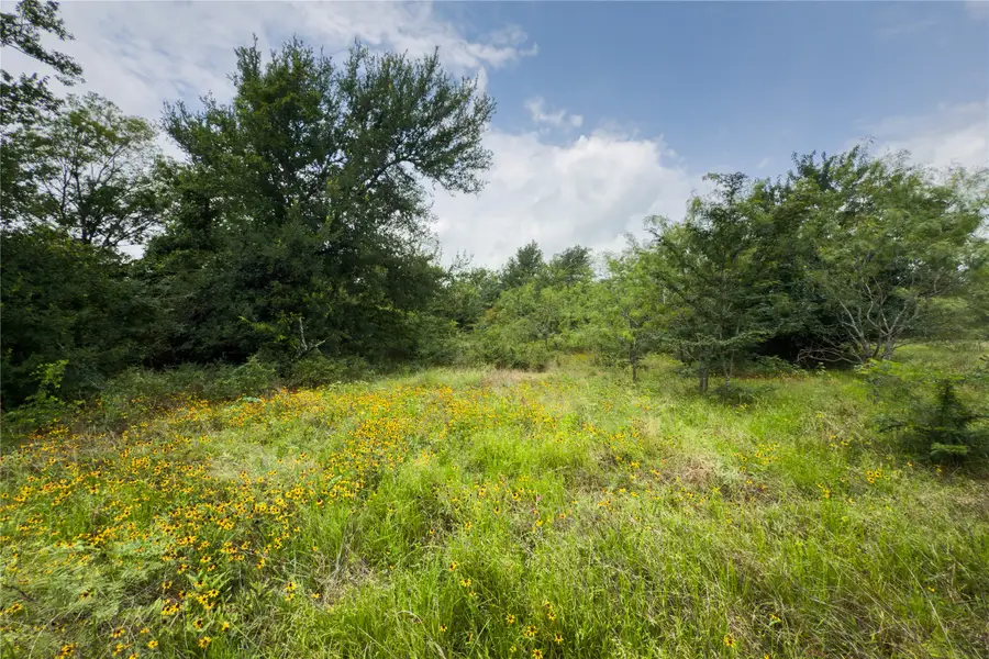Lot 9 County Road 173, Marlin, TX 76661 - Image #2