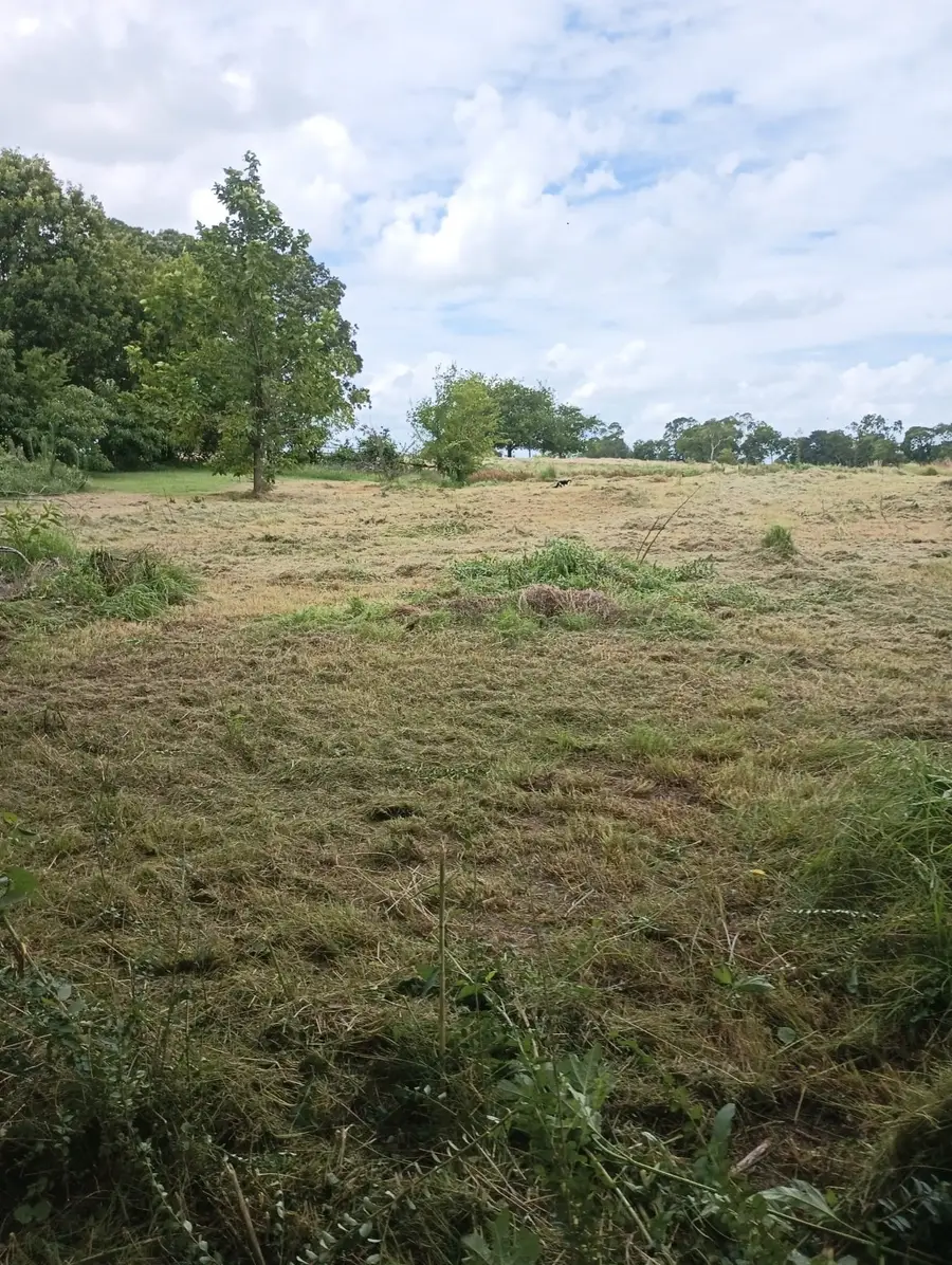 700 Vz County 3418 Road, Wills Point, TX 75169 - Image #2