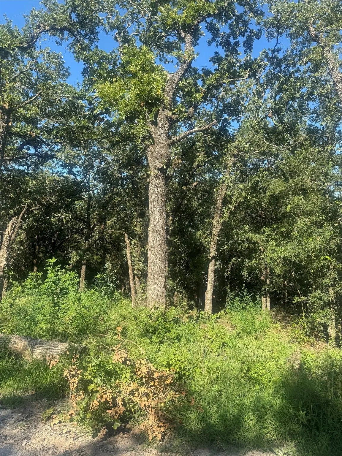 500 Pr 3204, Bridgeport, TX 76426 - Image #1