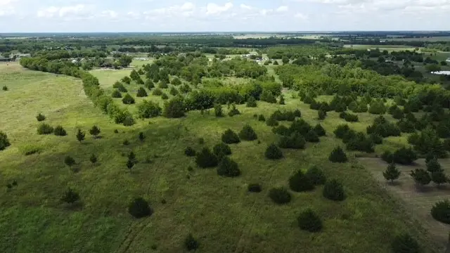 1146 County Road 2175, Klondike, TX 75448 - Image #2