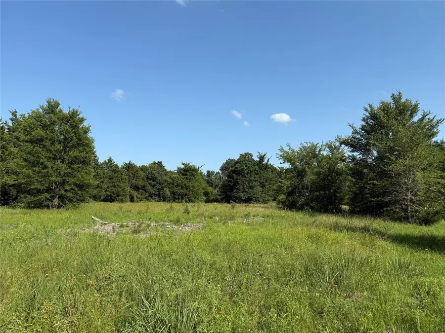 Lot 3 Se Cr 4045, Kerens, TX 75144 - Image #2