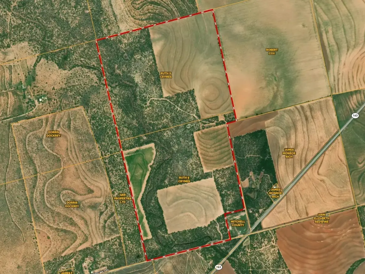 7000 County Rd 335, Colorado City, TX 79512 - Image #1