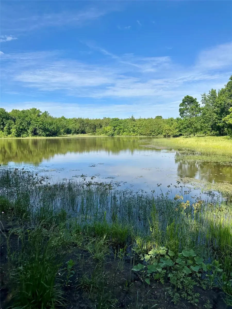 0 County Road 5020 Road #OF, Blue Ridge, TX 75424 - Image #2