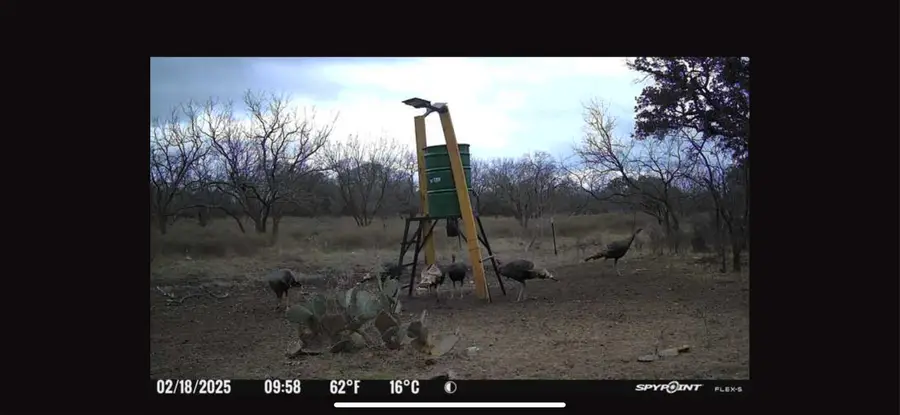 101 Sika Spur, Brady, TX 76825 - Image #2