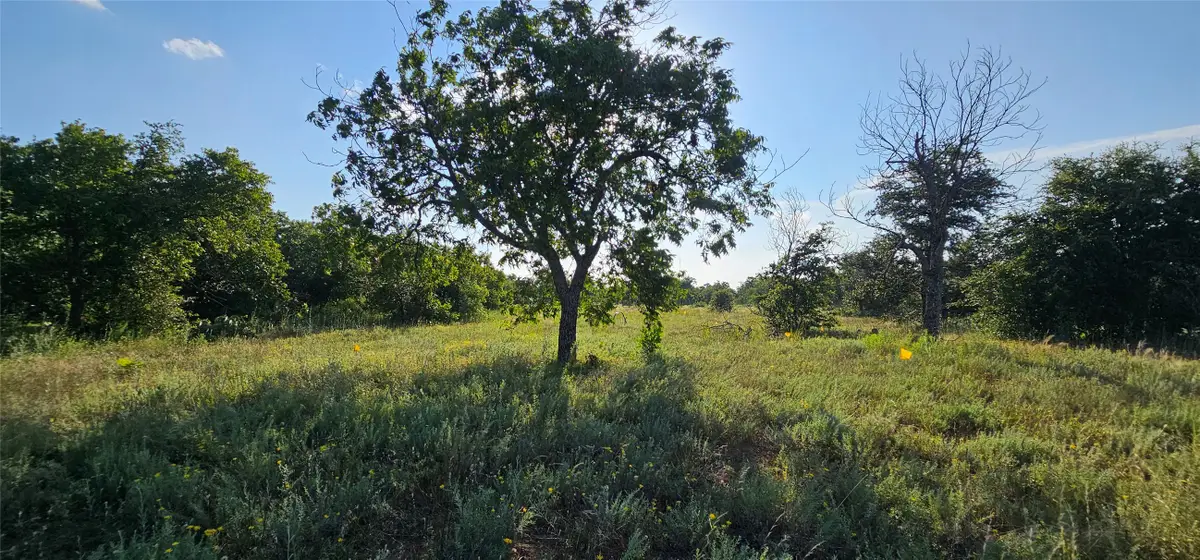 TBD Cr 250, Clyde, TX 79510 - Image #1