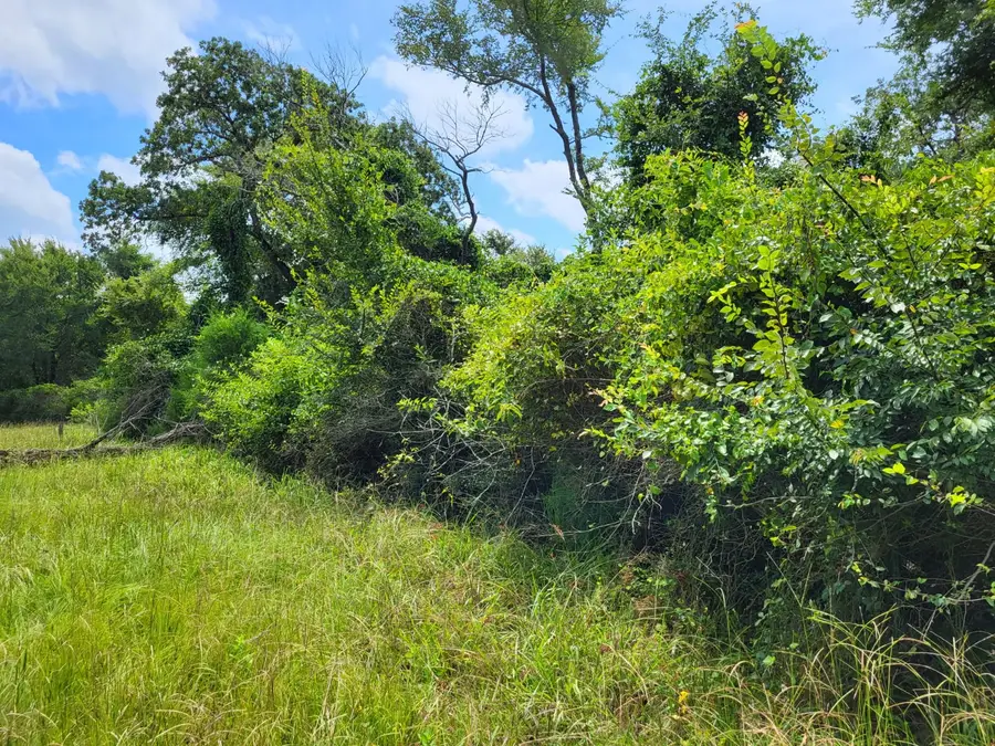 TBD Lcr 775 W, Groesbeck, TX 76642 - Image #2