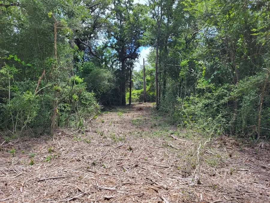 TBD Lcr 775 W, Groesbeck, TX 76642 - Image #3