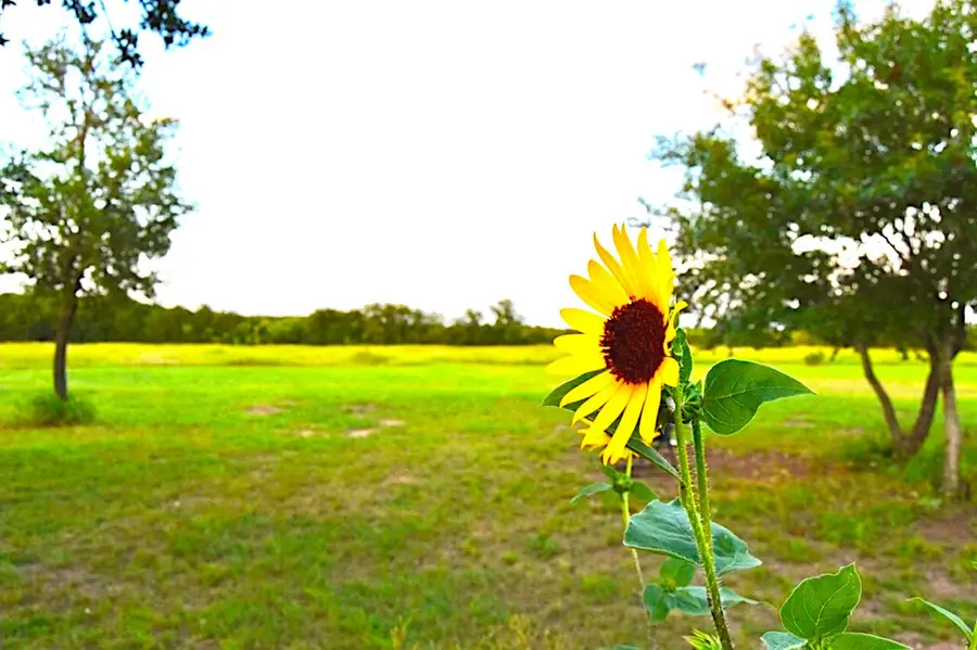 1500 County Road 2850, Kopperl, TX 76652 - Image #2