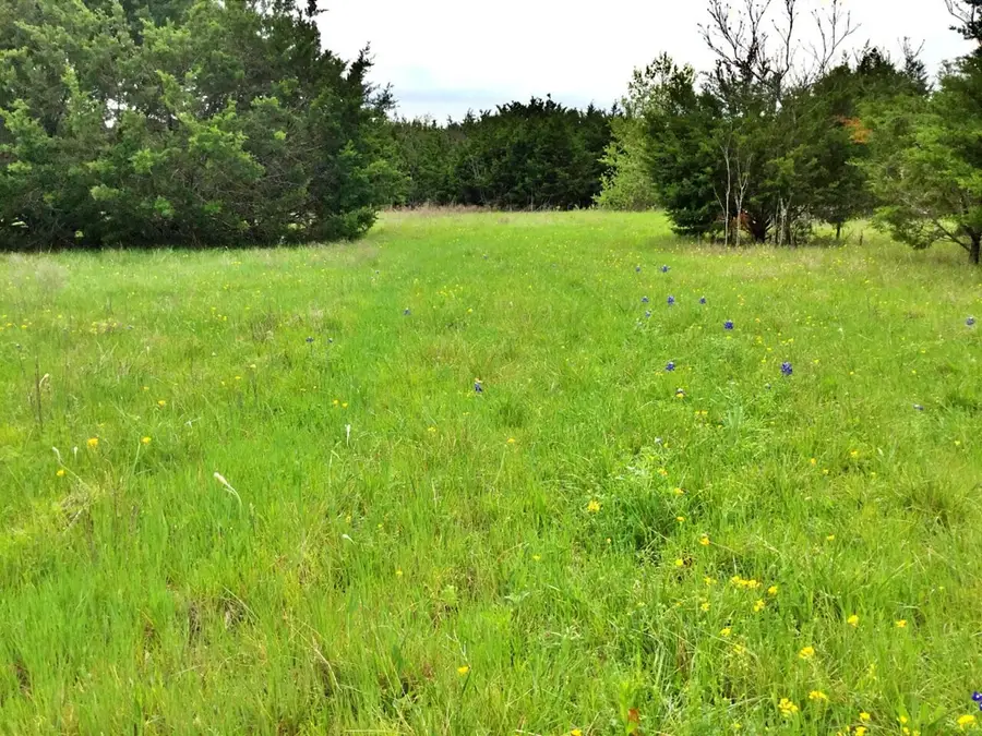 1500 County Road 2850, Kopperl, TX 76652 - Image #3