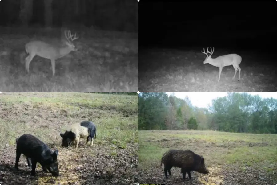 00 Hwy 69 / Cr 484, Mineola, TX 75773 - Image #2