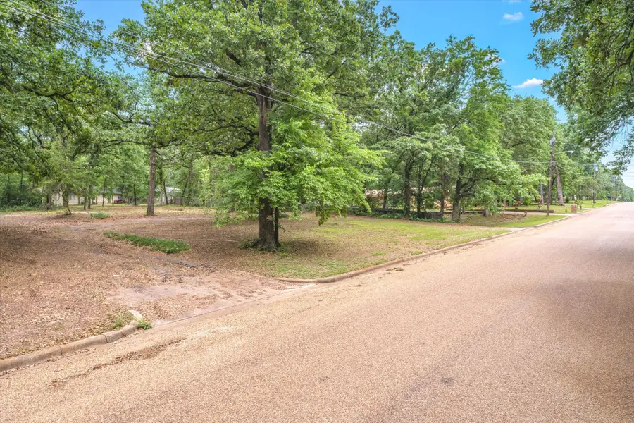 1106 Woodland Drive, Canton, TX 75103 - Image #3