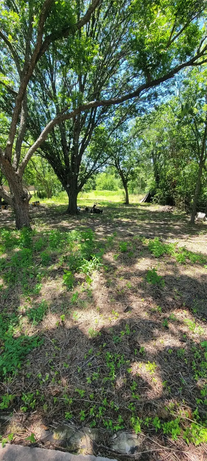 1302 Dr Martin Luther King Jr Boulevard, Waxahachie, TX 75165 - Image #2