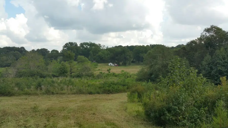 TBD County Rd 35 Road, Tyler, TX 75706 - Image #2