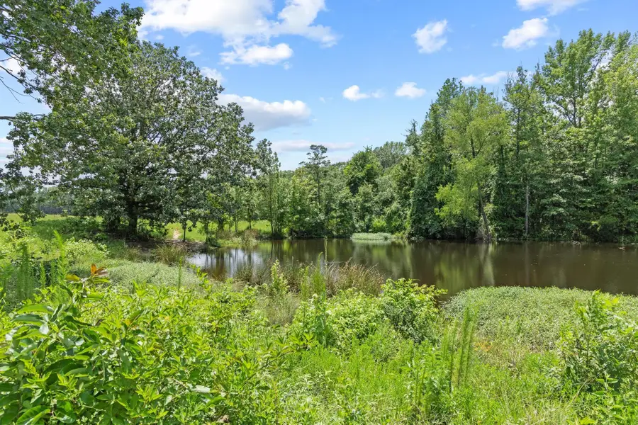 0000 County Road 4427, Avery, TX 75554 - Image #3