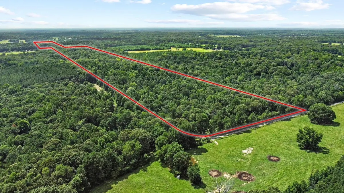 0000 County Road 4418, Avery, TX 75554 - Image #1