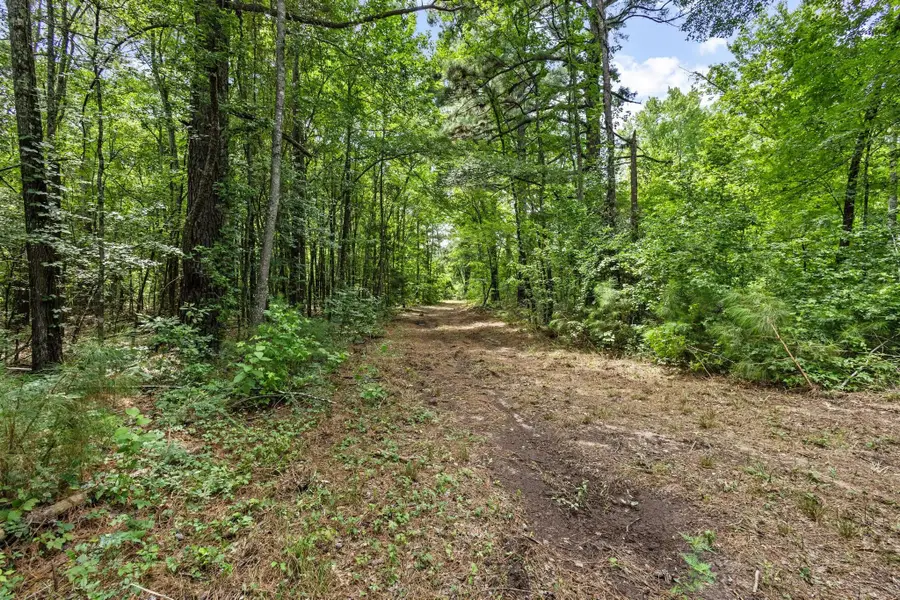 0000 County Road 4418, Avery, TX 75554 - Image #2