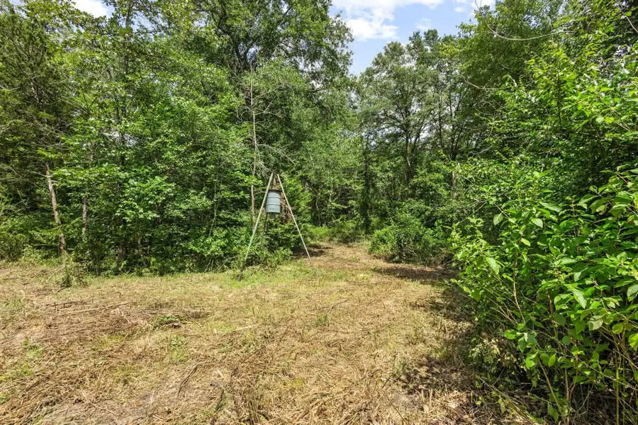 0000 County Road 4418, Avery, TX 75554 - Image #3