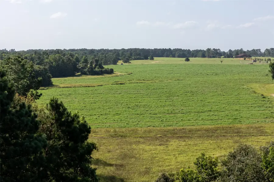 00 County Road 2180, Grapeland, TX 75844 - Image #3