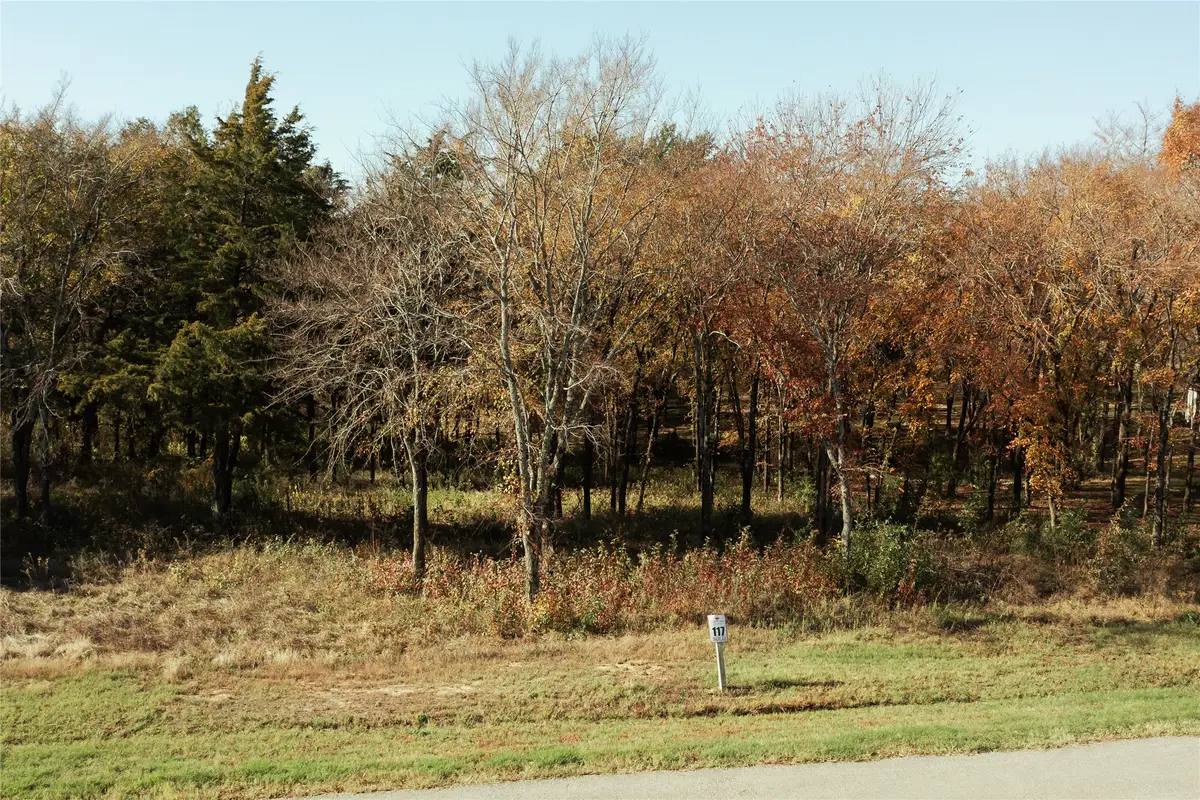 307 Cedar Creek Landing Lane, Cedar Creek Lake, TX 75143 - Image #1