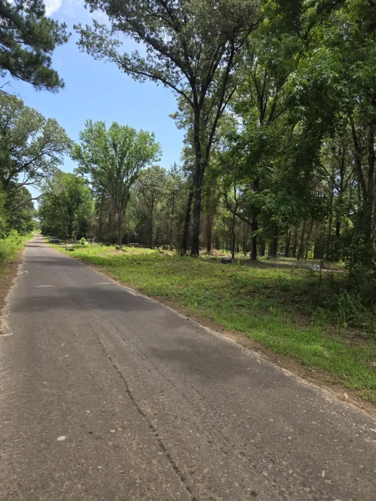 1 Vz County Road 4700, Ben Wheeler, TX 75754 - Image #1