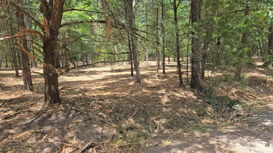 1 Vz County Road 4700, Ben Wheeler, TX 75754 - Image #2