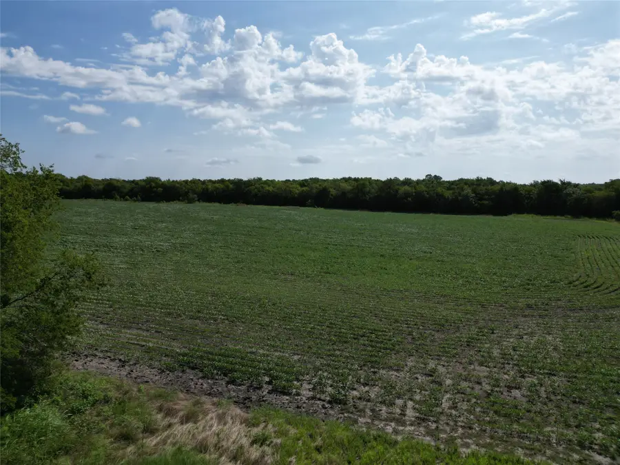 25 Ac Fm 3132, Klondike, TX 75448 - Image #3