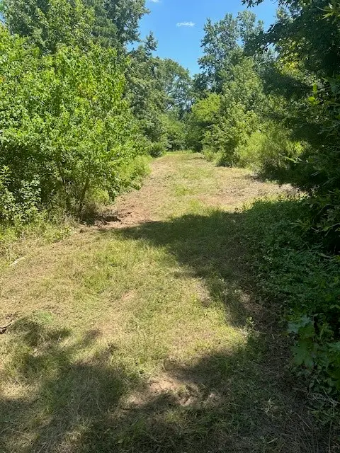 1111 Gilmer Road, Winnsboro, TX 75494 - Image #2