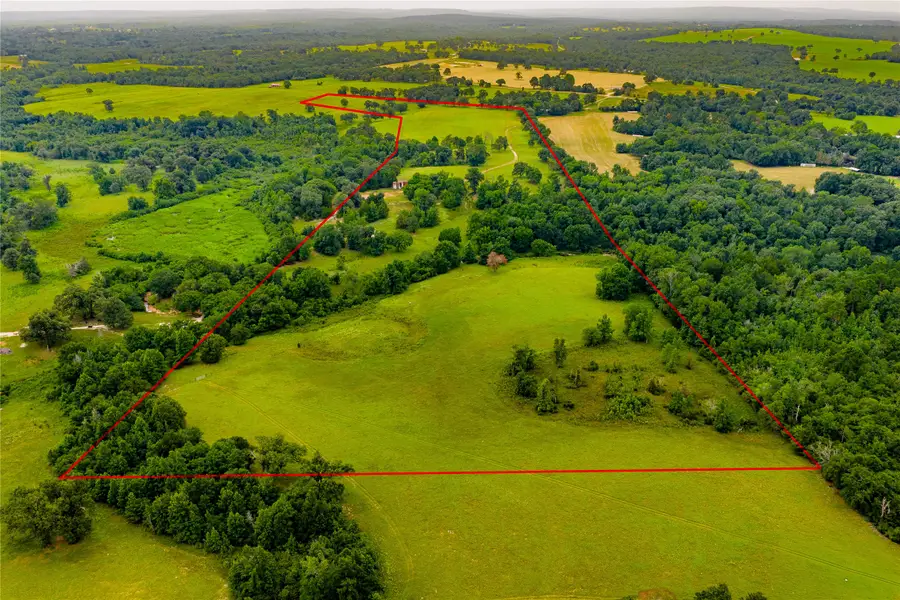 000 An County Road 486, Palestine, TX 75803 - Image #2