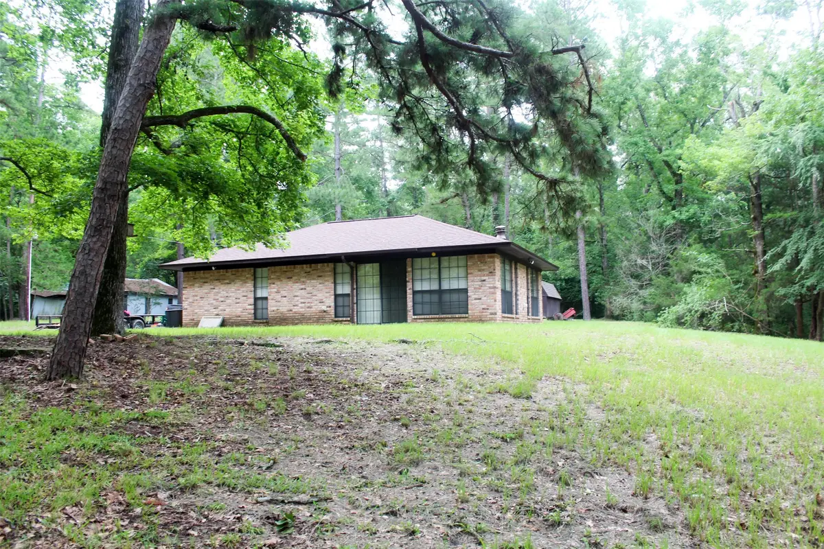 2733 County Road 1560, Grapeland, TX 75844 - Image #1