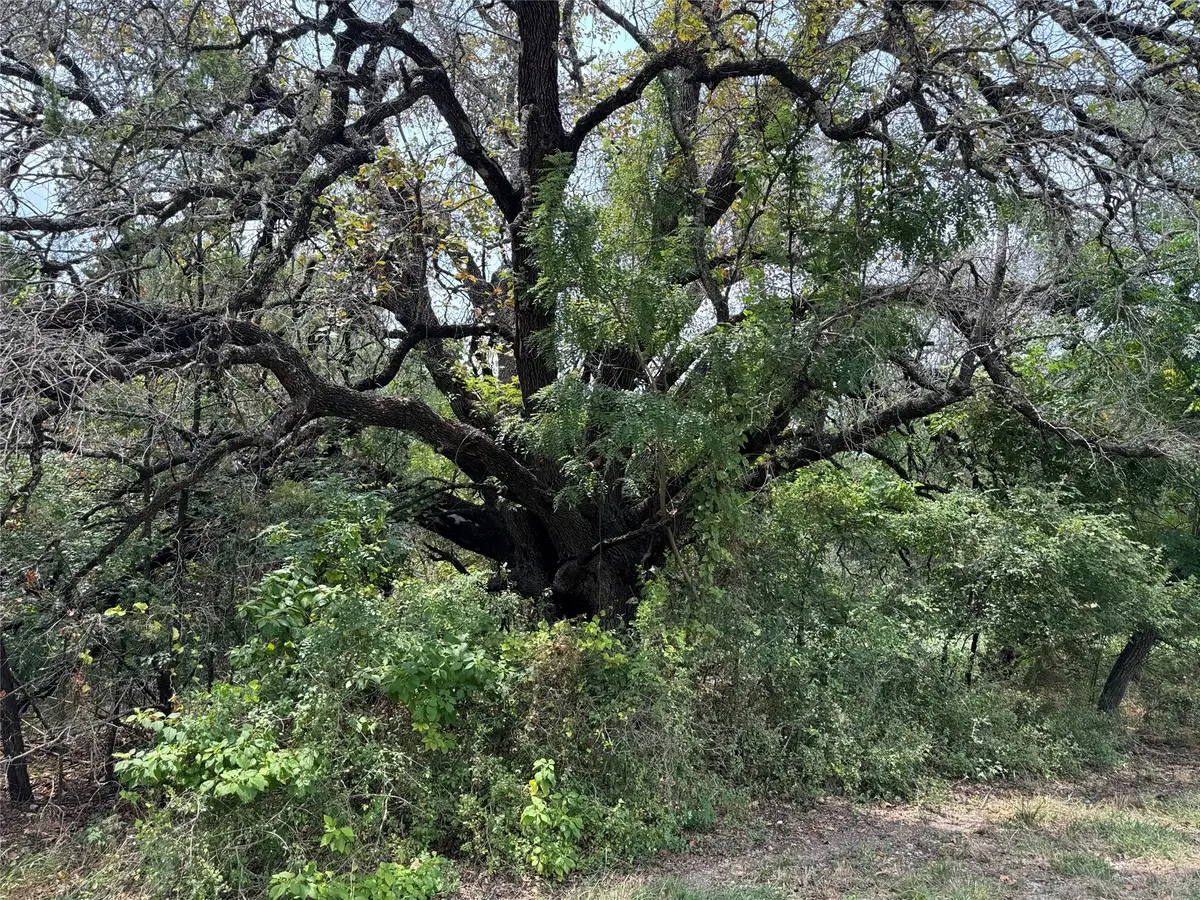 15042 Golf Drive, Whitney, TX 76692 - Image #1