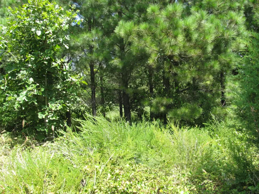 TBD Jace's Trail, Nashoba, OK 74558 - Image #2