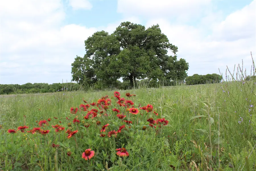 TBD Tract 2 County Road 109, Mingus, TX 76463 - Image #2