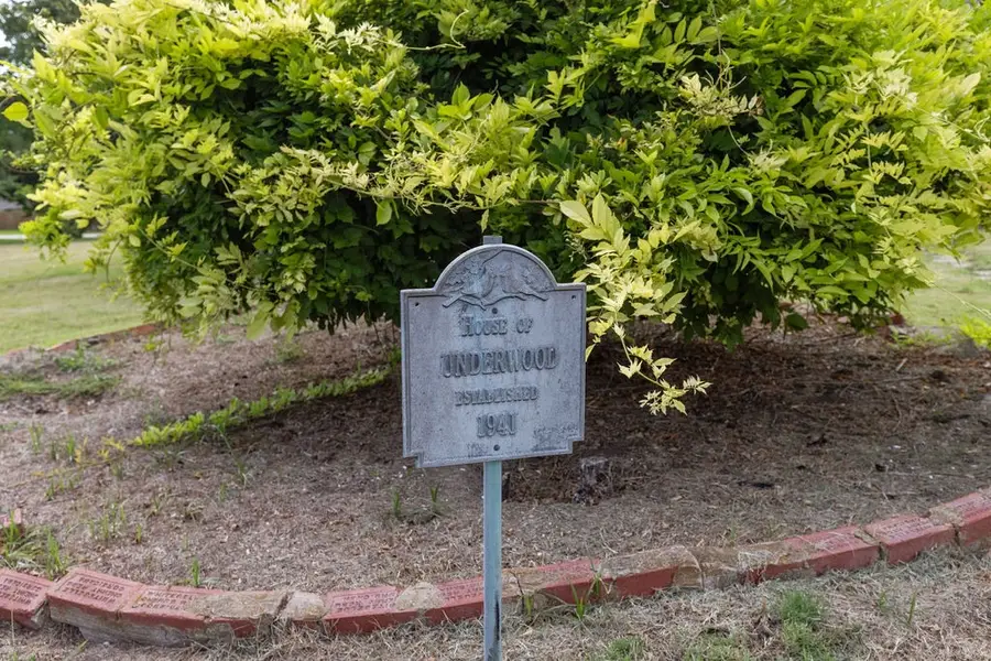 701 5th Street, Honey Grove, TX 75446 - Image #3