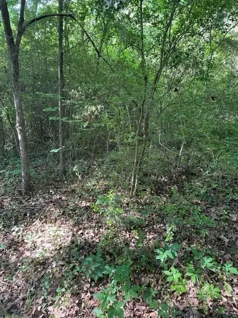 108 Trail Glen Drive, Mabank, TX 75156 - Image #3