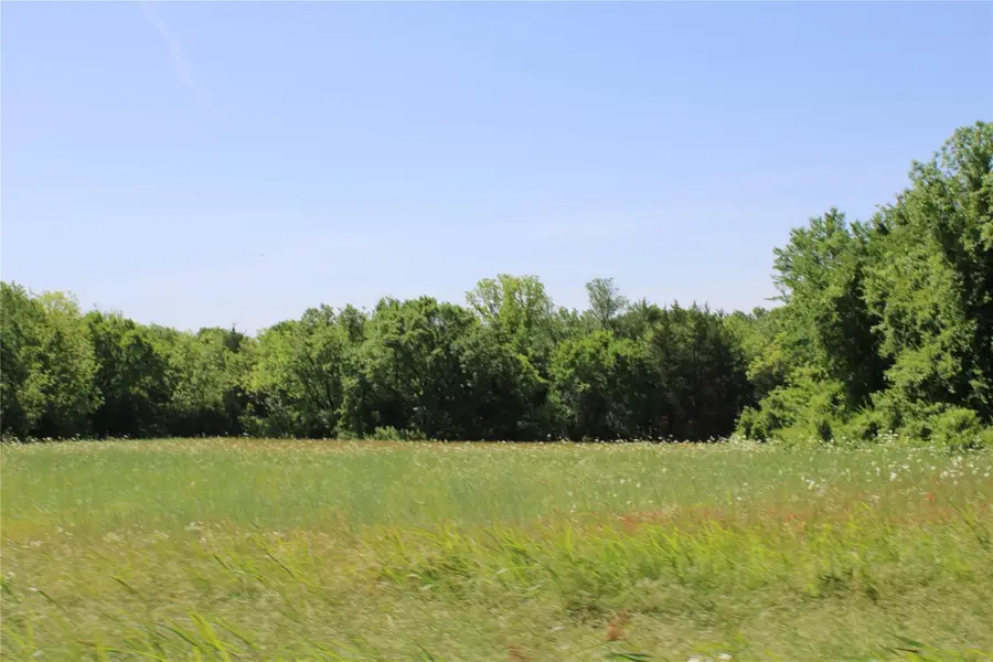 TBD 1234 County Road 3210 Street, Dodd City, TX 75438 - Image #3