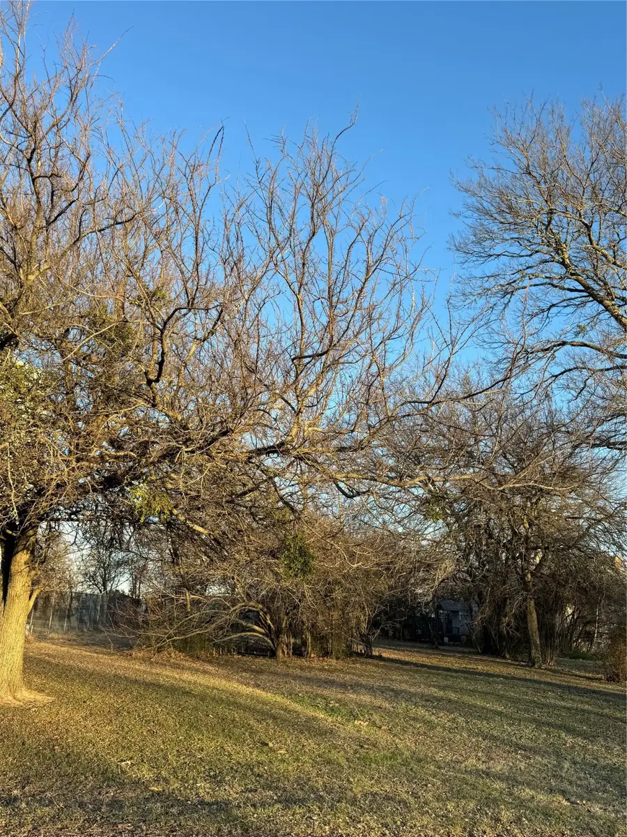 208 John Fielder Drive, Southmayd, TX 75092 - Image #2