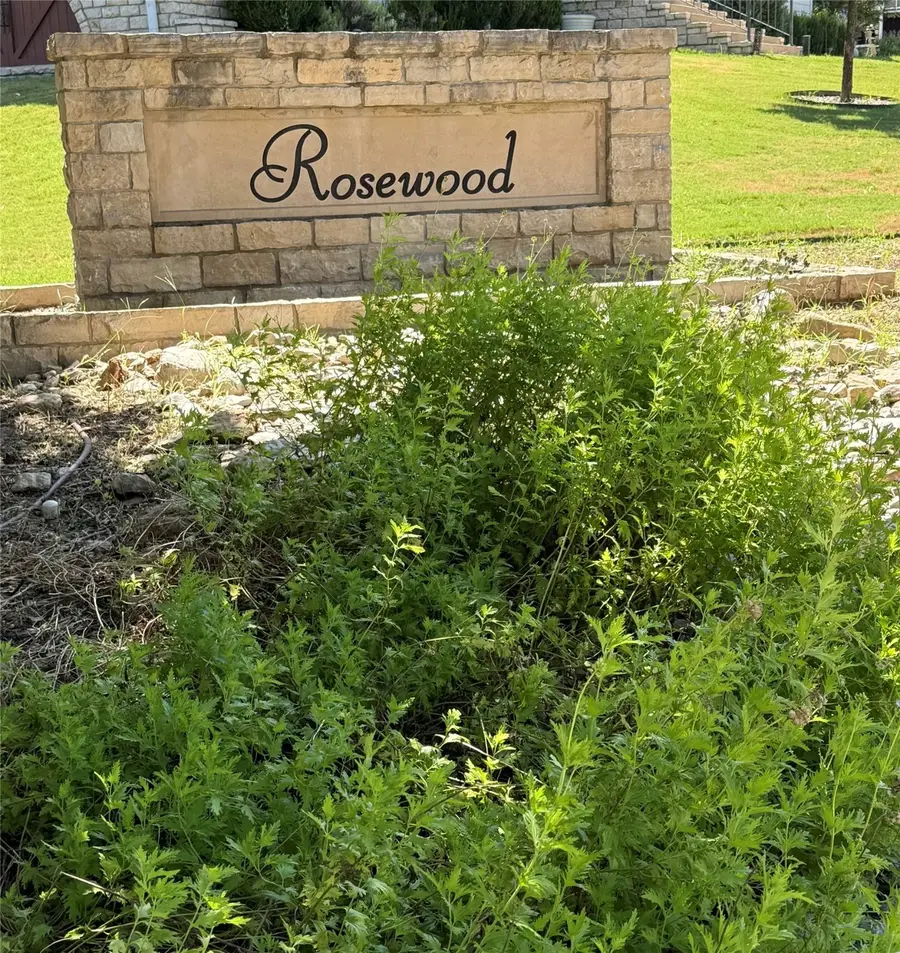 124 Dove Meadow Lane, Glen Rose, TX 76043 - Image #3