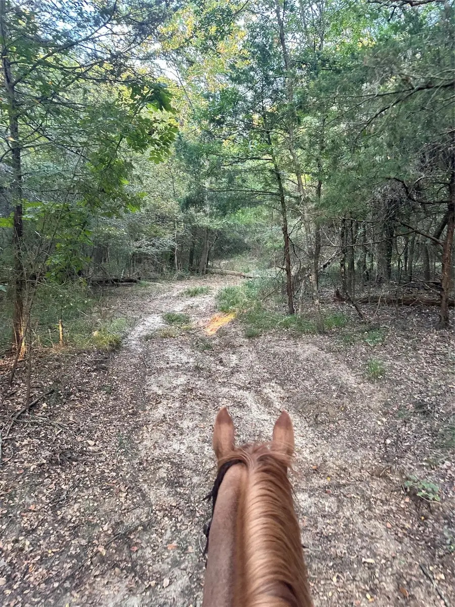 TBD County Road 3226, Lone Oak, TX 75453 - Image #2